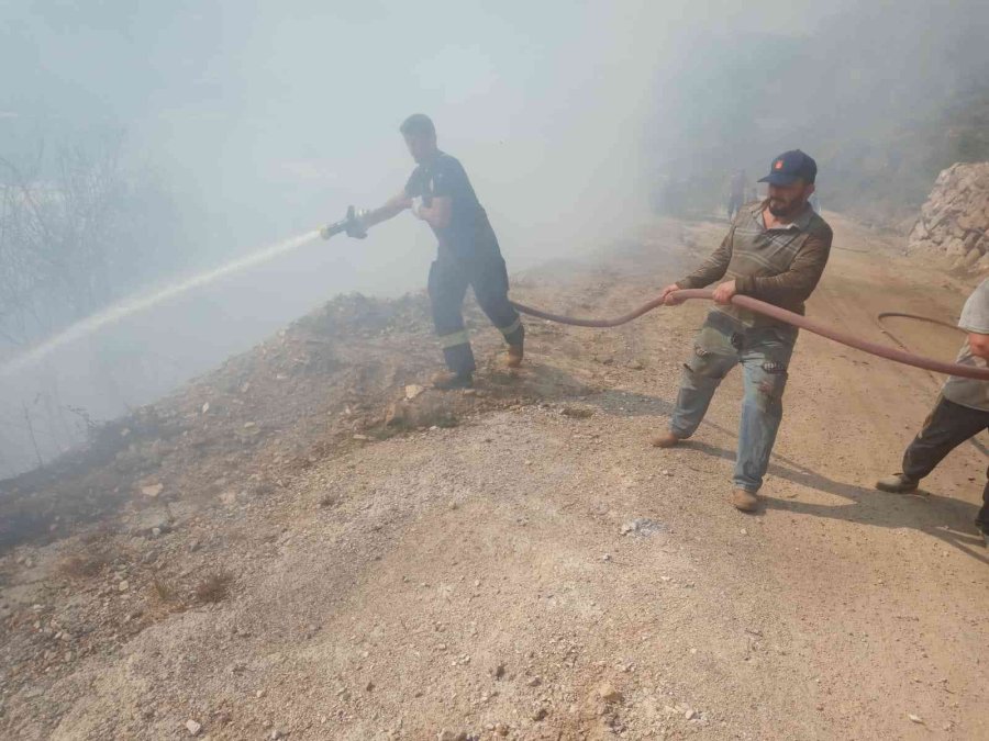 Alanya’da Tarım Arazisinde Başlayan Yangında 10 Dönüm Zarar Gördü