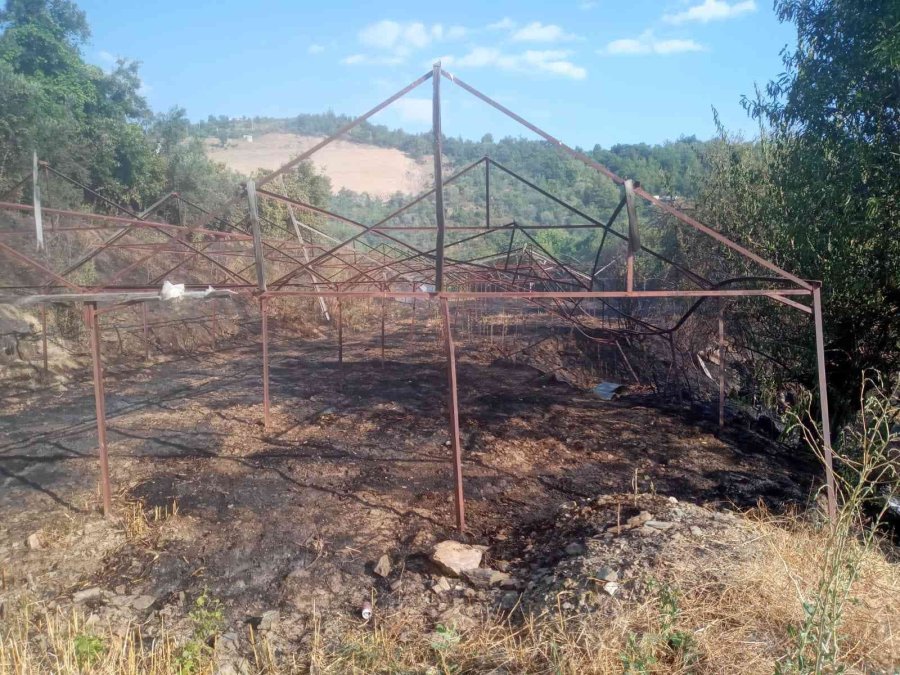 Alanya’da Tarım Arazisinde Başlayan Yangında 10 Dönüm Zarar Gördü