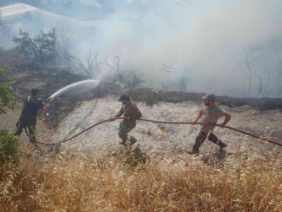 Alanya’da Tarım Arazisinde Başlayan Yangında 10 Dönüm Zarar Gördü