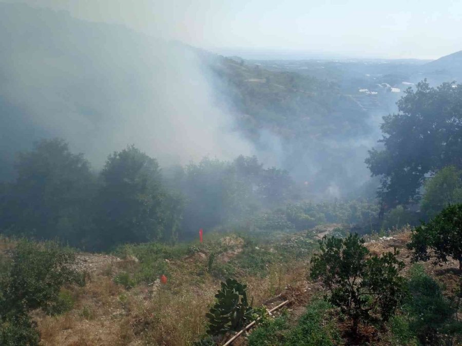 Alanya’da Tarım Arazisinde Başlayan Yangında 10 Dönüm Zarar Gördü