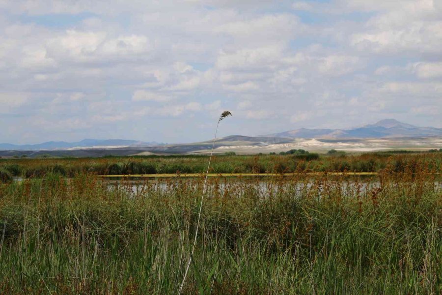 Balıkdamı Fotoğraf Tutkunlarını Hayran Bırakıyor