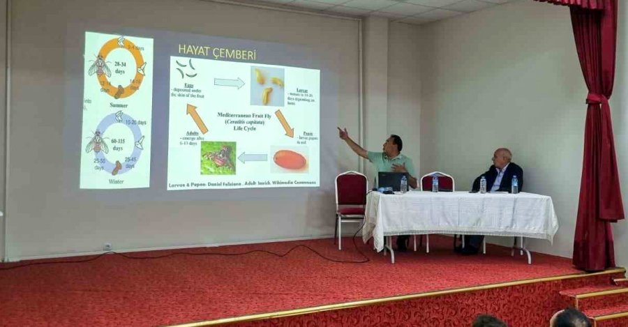 Mihalıççık’ta Kiraz Üreticisine Eğitim