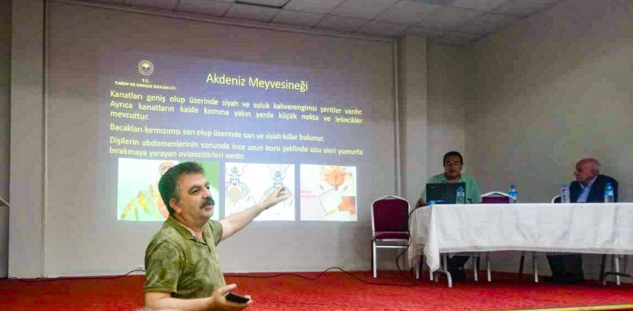 Mihalıççık’ta Kiraz Üreticisine Eğitim