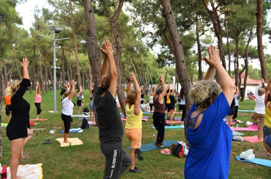 “barışa Evet” Sloganıyla Yoga Yaptılar