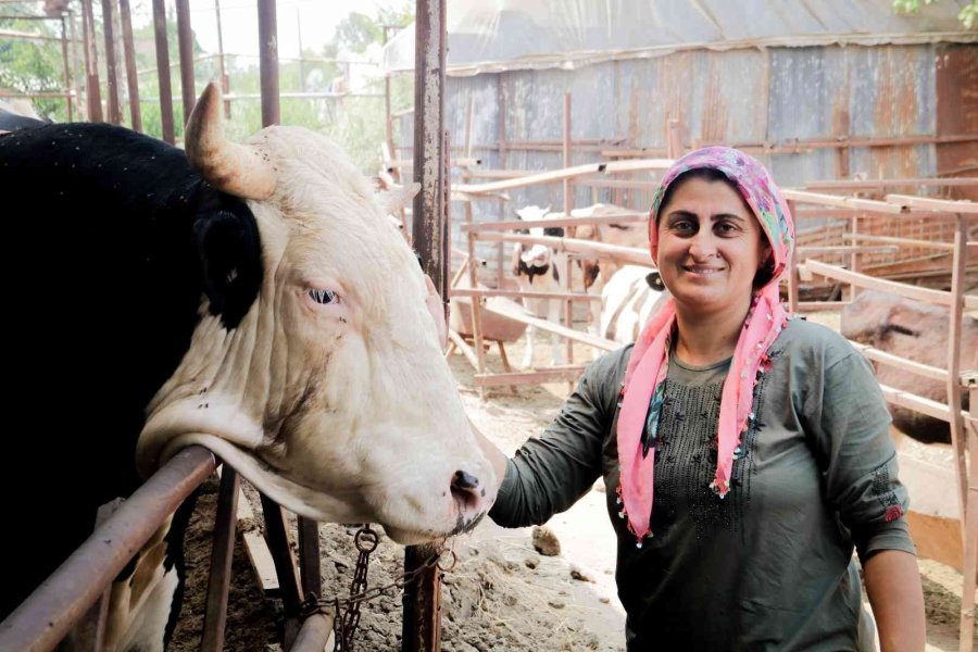 Evde Canı Sıkılan Kadın Hayvancılık İşine Girip 15 Yılda Servet Sahibi Oldu