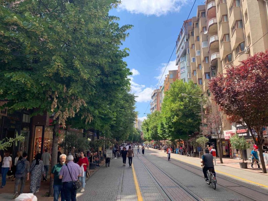 Eskişehir’i Ihlamur Kokusu Sardı