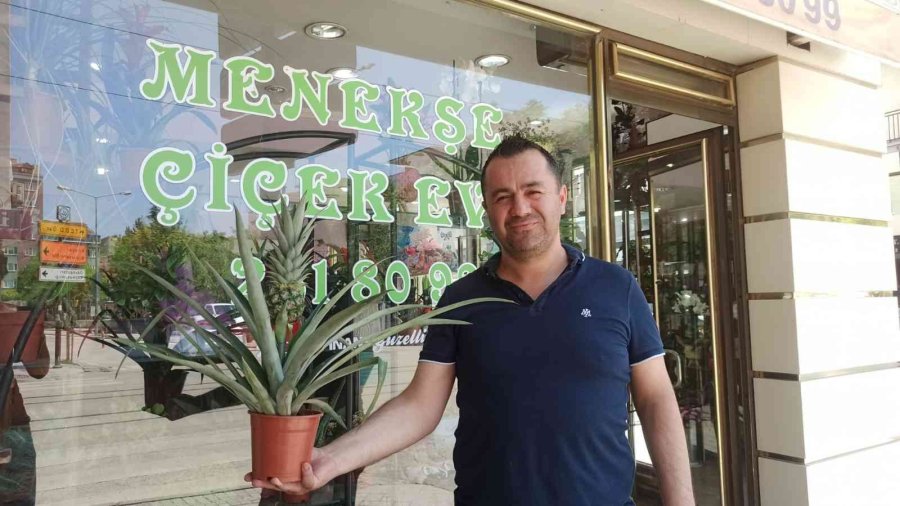 Bu Dekorun Meyvesi Çok Tatlı