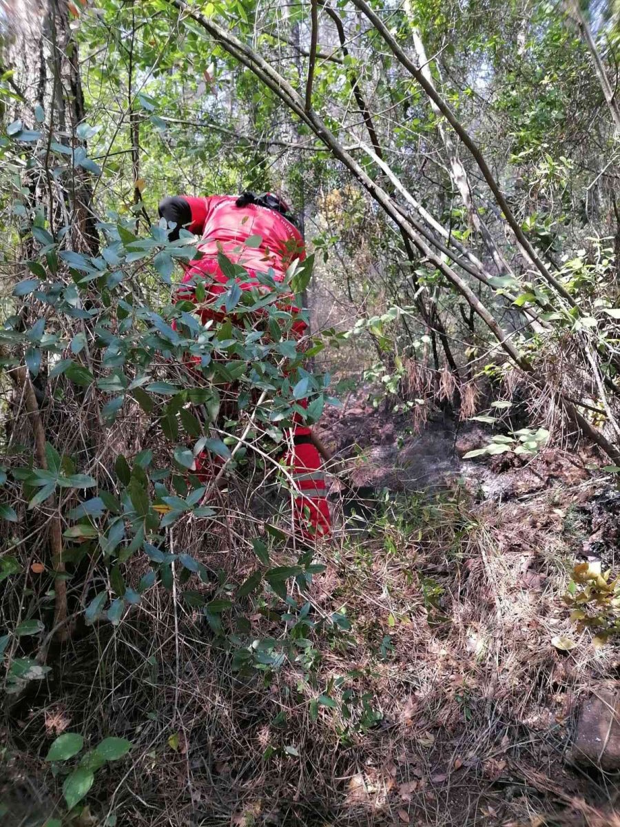 Dak’tan Marmaris’e Destek