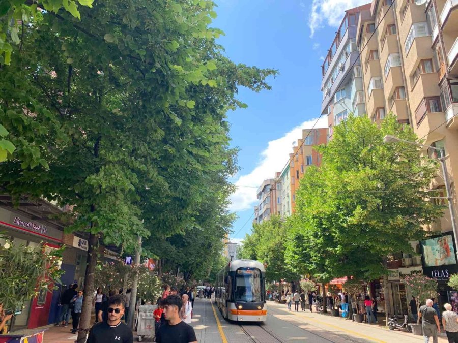 Eskişehir’i Ihlamur Kokusu Sardı