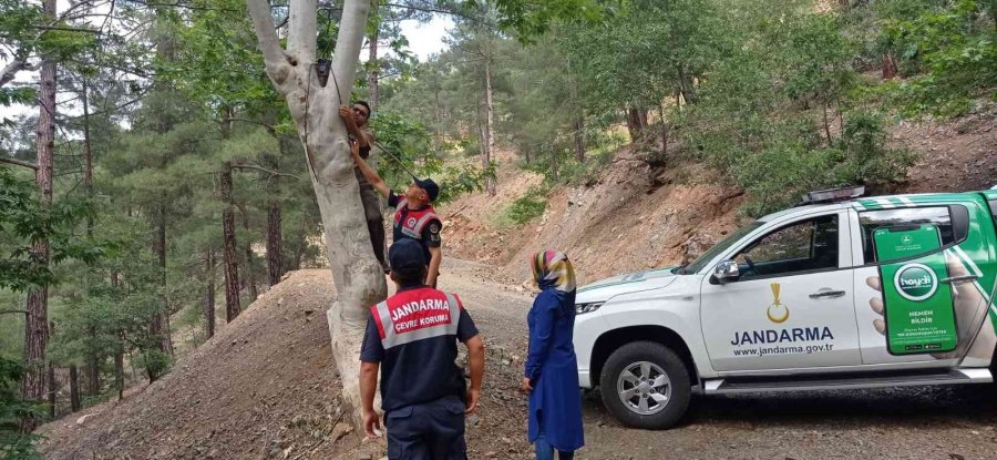 Aladağlar Milli Parkına Fotokapan Desteği