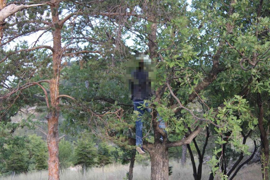 Mesire Alanında Kan Donduran Görüntü