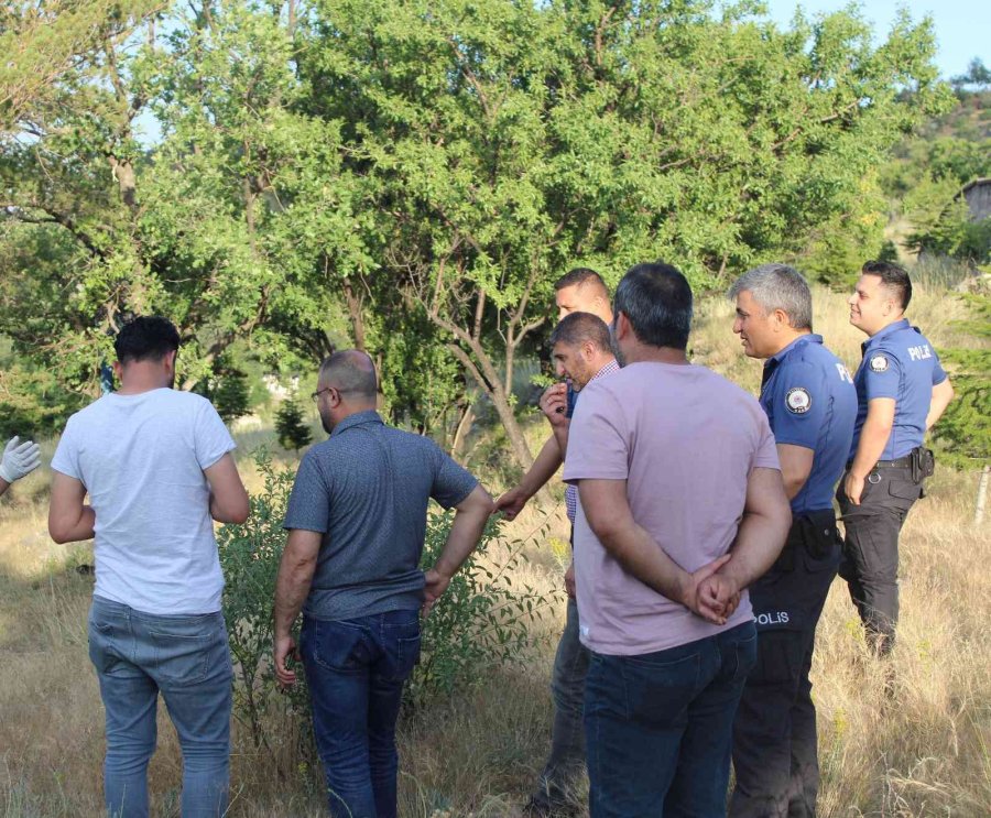 Mesire Alanında Kan Donduran Görüntü