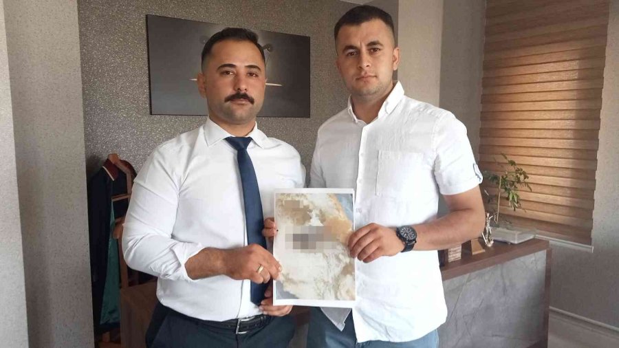 Piknikte Ekmeği Böldüklerinde Hayatlarının Şokunu Yaşadılar