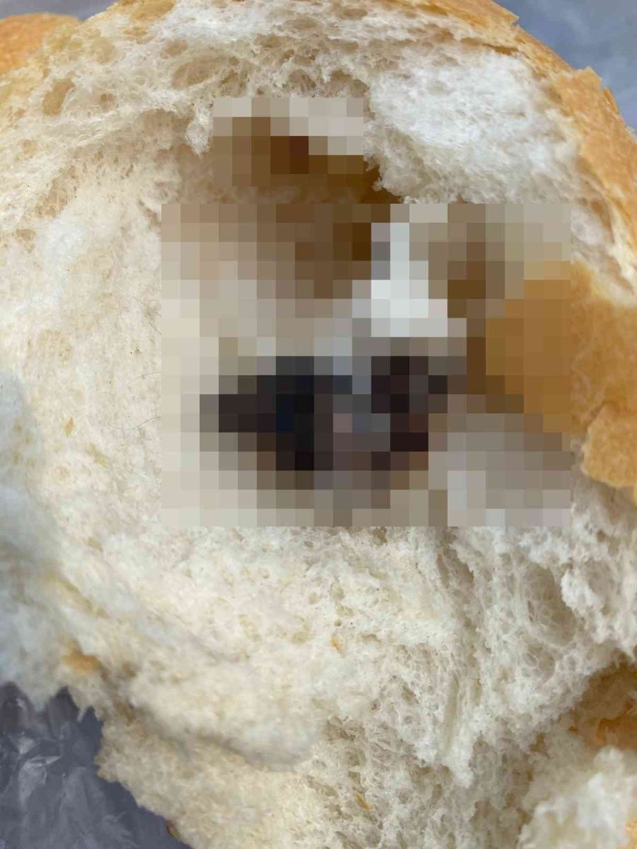 Piknikte Ekmeği Böldüklerinde Hayatlarının Şokunu Yaşadılar