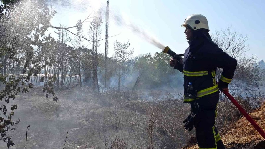 Yangında Çıkan Sese Uyanıp Sokağa Döküldüler
