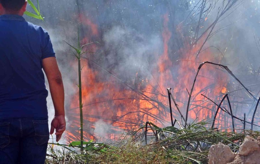 Yangında Çıkan Sese Uyanıp Sokağa Döküldüler