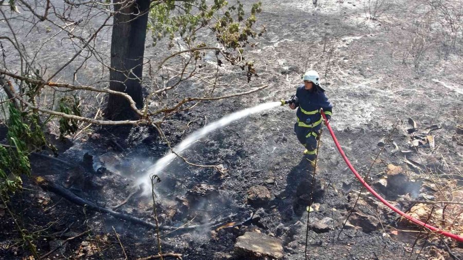 Yangında Çıkan Sese Uyanıp Sokağa Döküldüler