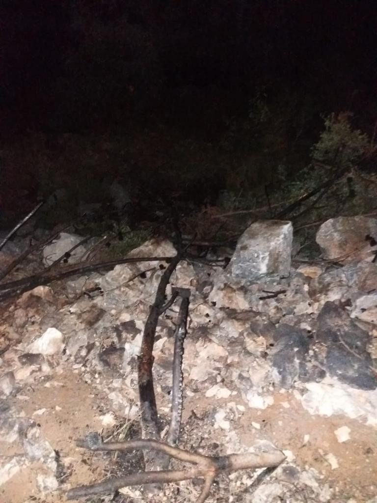 Alanya’da Ormanı Yakan Şüpheli Suçüstü Yakalandı