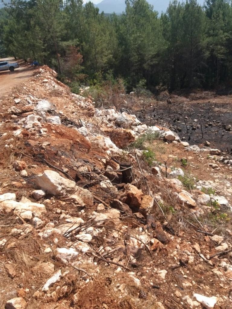 Alanya’da Ormanı Yakan Şüpheli Suçüstü Yakalandı