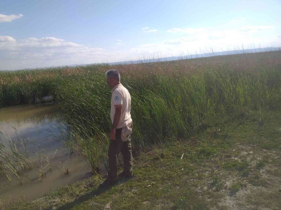 Av Koruma Kontrol Denetimleri Devam Ediyor