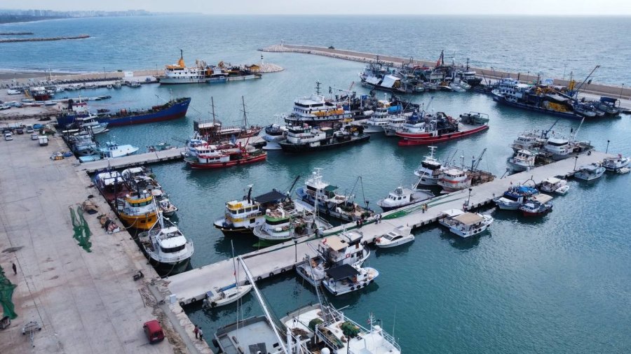 Balıkçılara Akdeniz Fokundan Tatlı Sürpriz