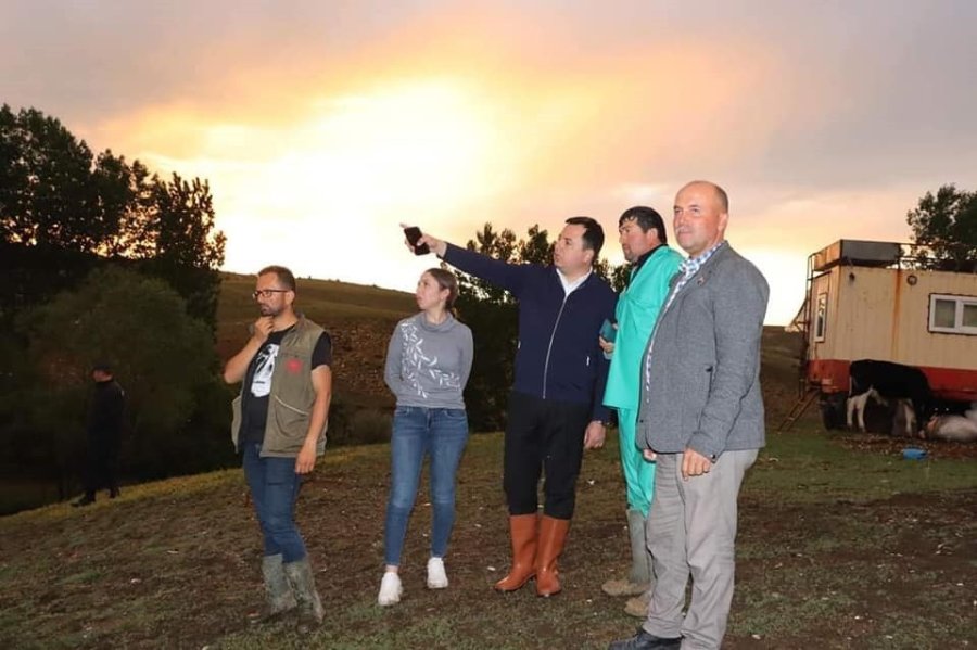 Yaylada Sel Sonrası 23 Küçükbaş Hayvan Telef Oldu