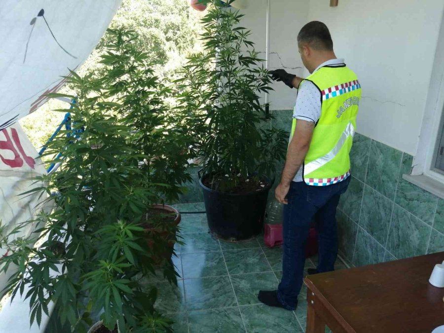 Balkonda Branda İle Perdelenen Uyuşturucu Jandarmadan Kaçmadı