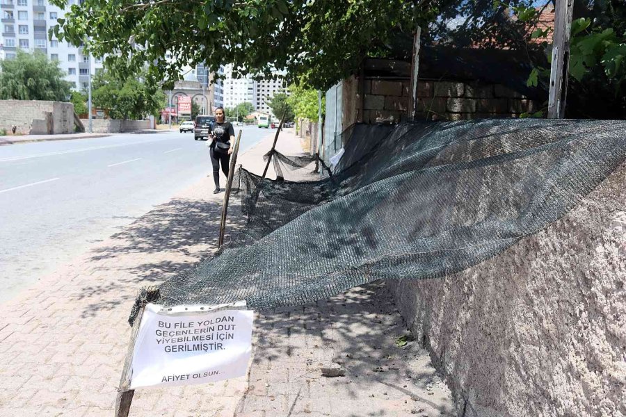 Seyit Amca Gönülleri Fethetti