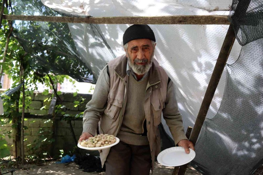 Seyit Amca Gönülleri Fethetti