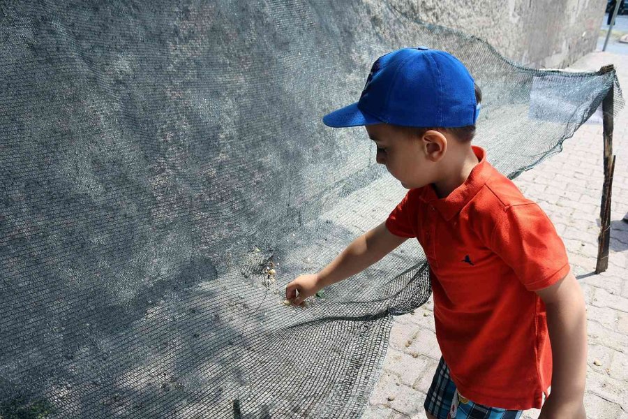 Seyit Amca Gönülleri Fethetti