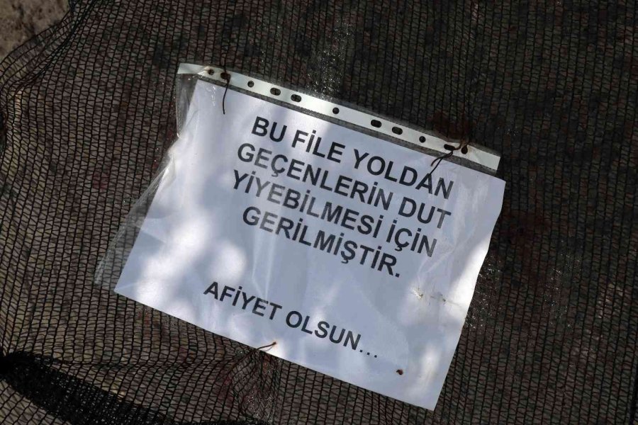 Seyit Amca Gönülleri Fethetti