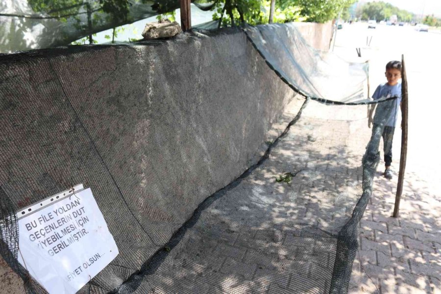 Seyit Amca Gönülleri Fethetti