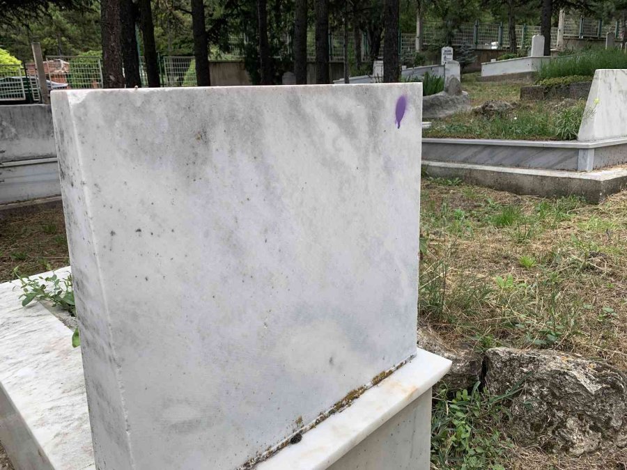 Mezarlıkta Merak Uyandıran Görüntü