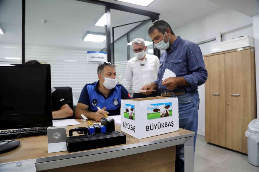 Talas’ta Kurban Satış Yerleri Kura İle Belirlendi