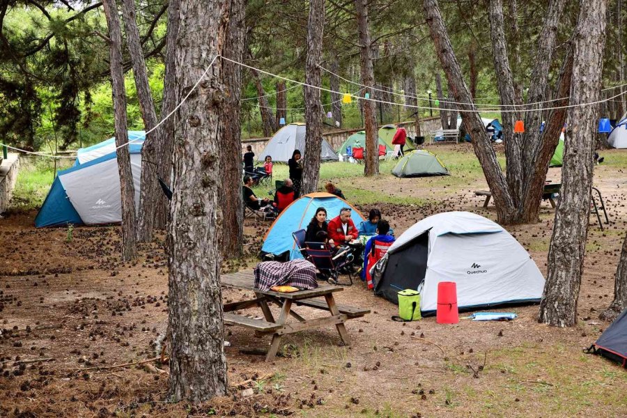 Sanat Ve Doğa, Bu Kampta Bir Araya Geldi