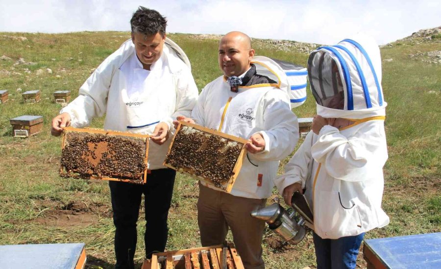 İtalyan Şef, 2 Bin 500 Rakımda Dünya Birincisi Balla Tatlı Yaptı