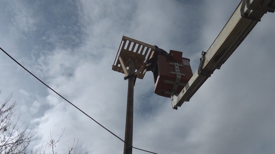 Kocasinan’da Leylek Yuvaları Misafirlerini Ağırlıyor