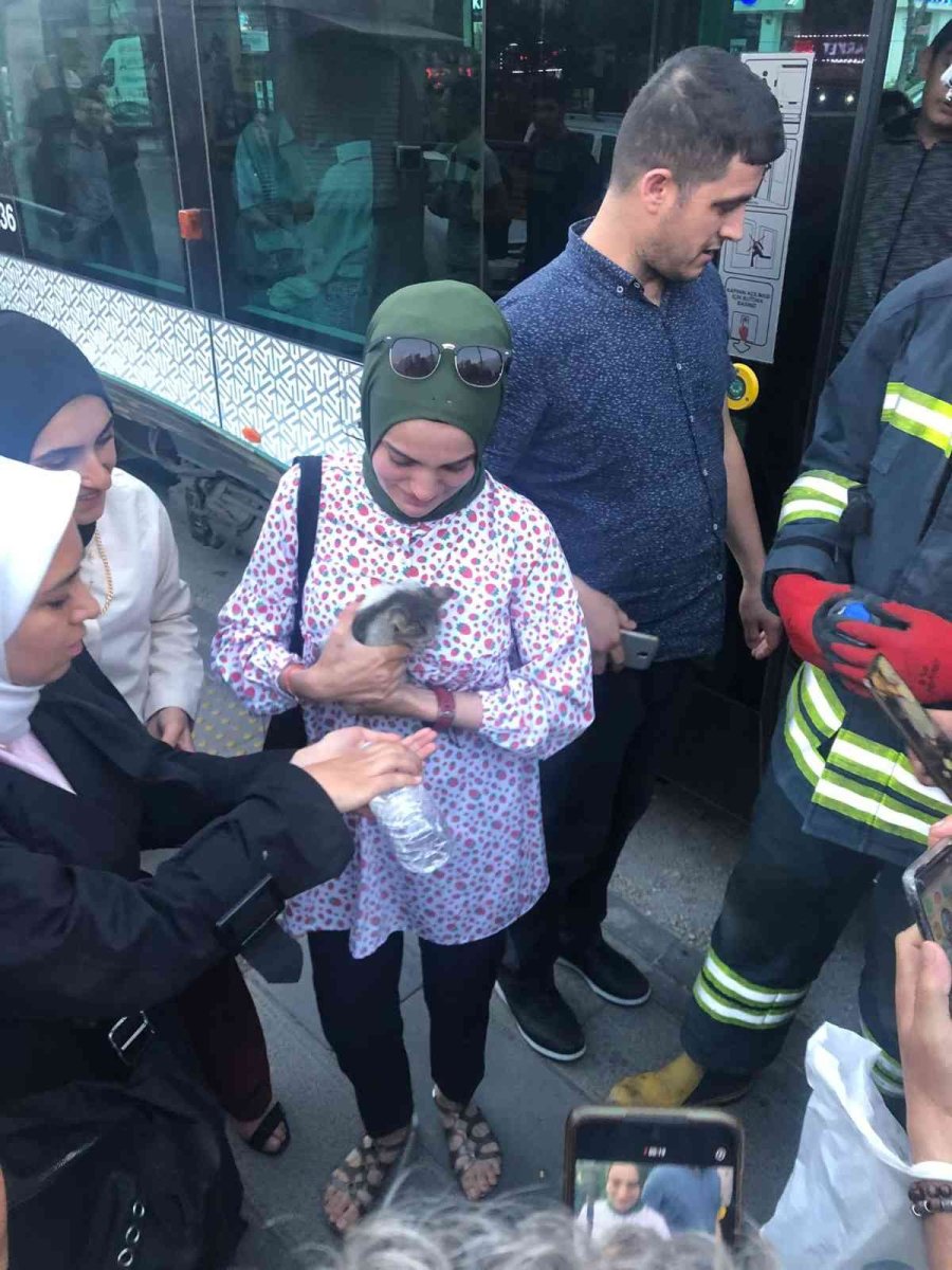 Duraktaki Tramvayın Altına Kaçan Kediyi İtfaiye Çıkarttı