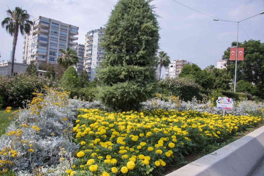 Kavşak Ve Refüjler Artık Daha Yeşil