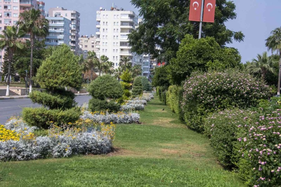 Kavşak Ve Refüjler Artık Daha Yeşil