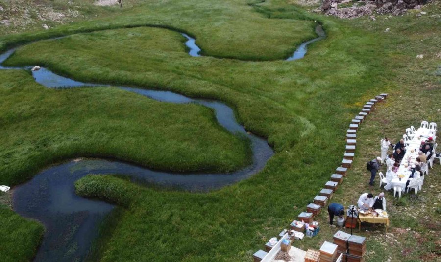 İtalyan Şef, 2 Bin 500 Rakımda Dünya Birincisi Balla Tatlı Yaptı