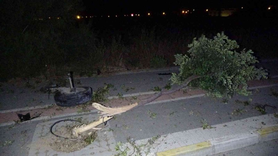 Hurdaya Dönen Otomobilden Sağ Çıktılar, Alkolün Etkisiyle Neşe İçinde Kameraya El Salladılar