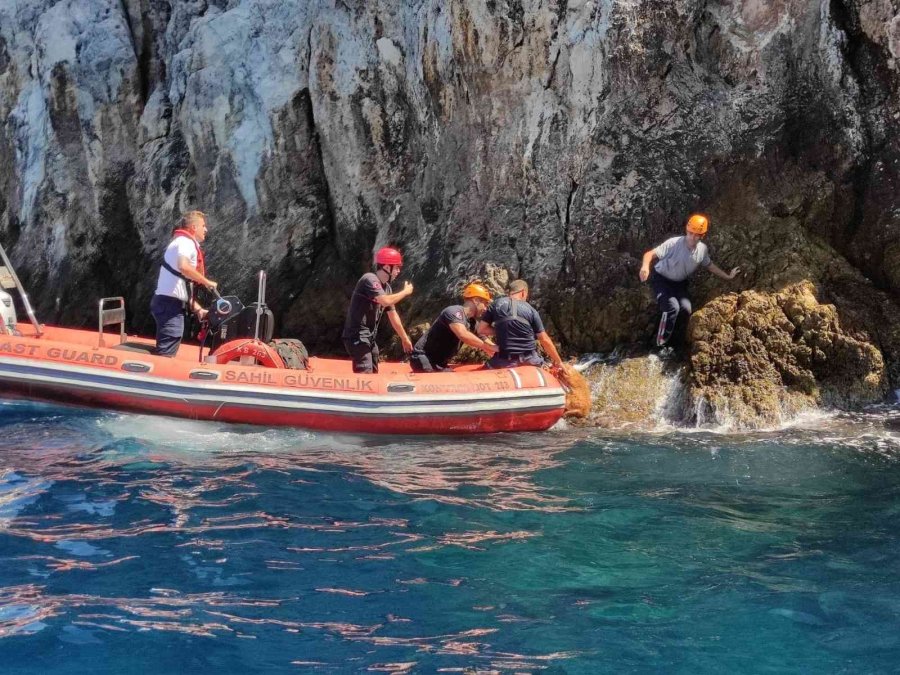 Denize Sıfır Sarp Kayalıklarda Mahsur Kalan Anne Ve Yavru Yaban Keçilerine Kurtarma Operasyonu