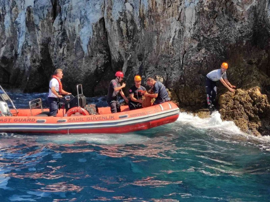 Denize Sıfır Sarp Kayalıklarda Mahsur Kalan Anne Ve Yavru Yaban Keçilerine Kurtarma Operasyonu