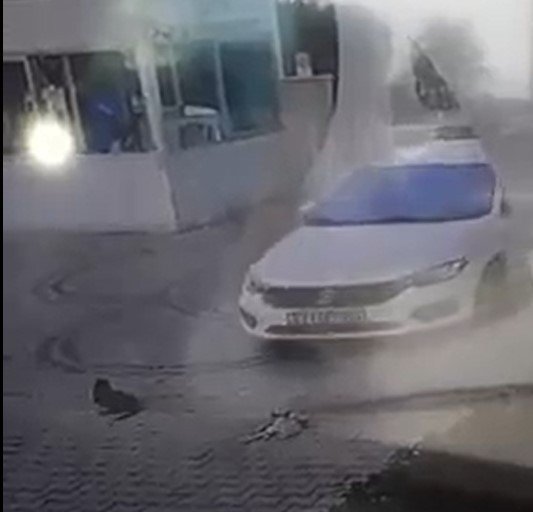 Aracını Üzerine Sürdüğü İki Kediden Birini Telef Etti Serbest Kaldı