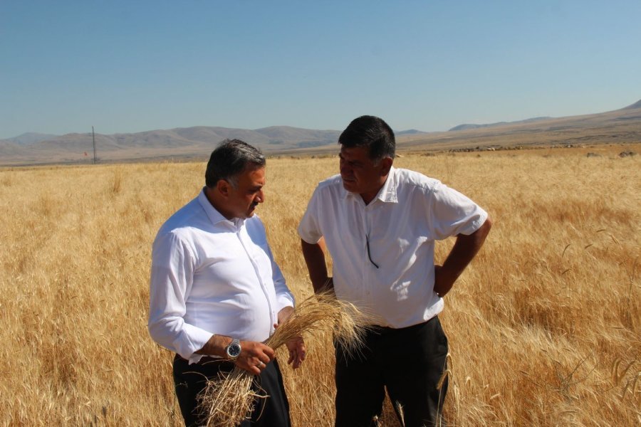 ’develi Gaceri’ Tescillendi