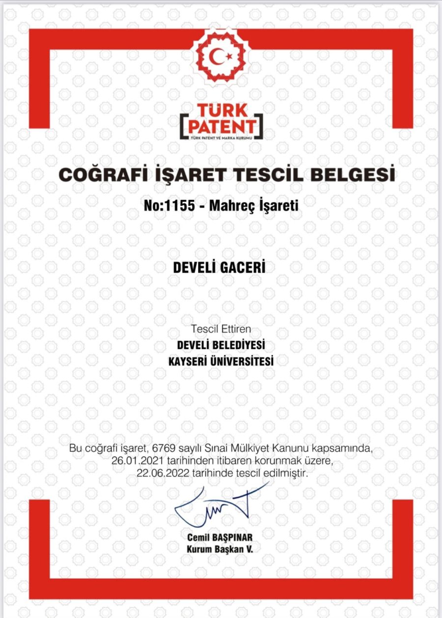 Develi Yöresinde Yetişen Gacer Ata Buğdayı ’develi Gaceri’ Olarak Tescillendi