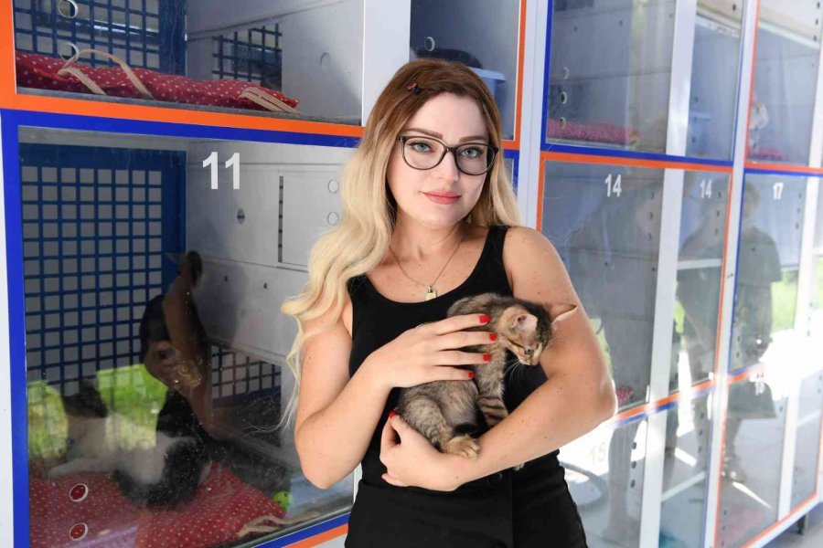 Başkan Esen: “sokak Hayvanlarının Kısırlaştırma İşlemini Planlı Bir Şekilde Sürdürüyoruz”