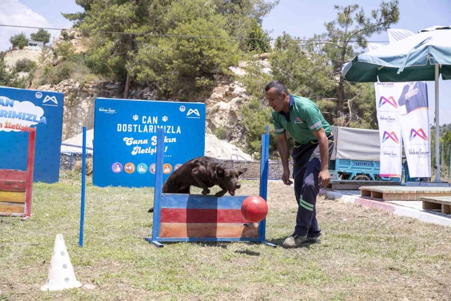 Mersin’de Köpek Eğitim Alanı Kuruldu