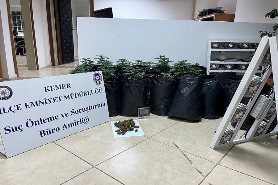 Kemer’de Kaçak Tütün Ve Kenevir Operasyonları